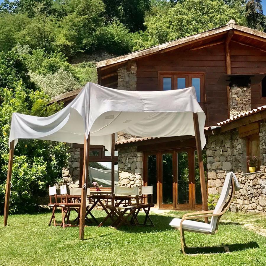 Villa Quinta Dos Carvalhos The Wine House Farm In Center Of Lamego - Capital Of The Douro Exterior foto
