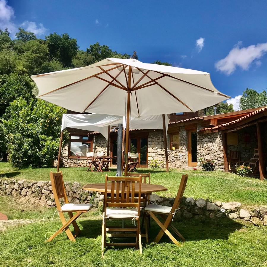 Villa Quinta Dos Carvalhos The Wine House Farm In Center Of Lamego - Capital Of The Douro Exterior foto