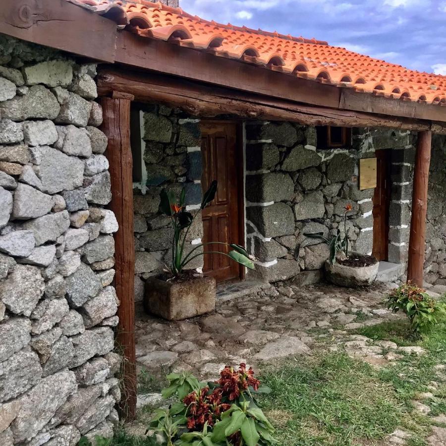 Villa Quinta Dos Carvalhos The Wine House Farm In Center Of Lamego - Capital Of The Douro Exterior foto