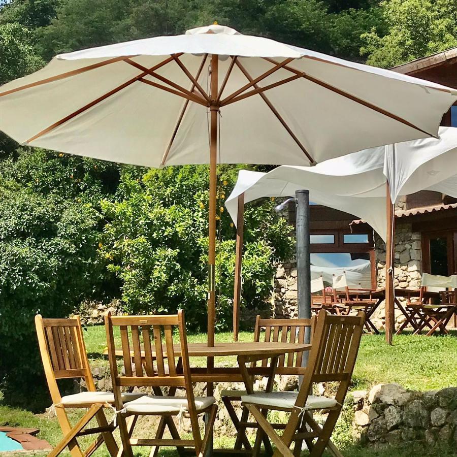 Villa Quinta Dos Carvalhos The Wine House Farm In Center Of Lamego - Capital Of The Douro Exterior foto