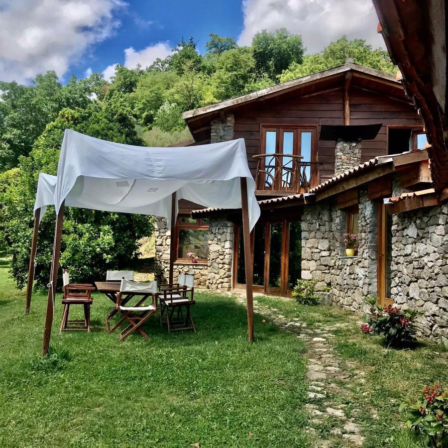 Villa Quinta Dos Carvalhos The Wine House Farm In Center Of Lamego - Capital Of The Douro Exterior foto