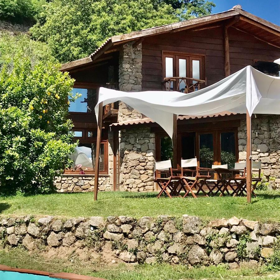 Villa Quinta Dos Carvalhos The Wine House Farm In Center Of Lamego - Capital Of The Douro Exterior foto
