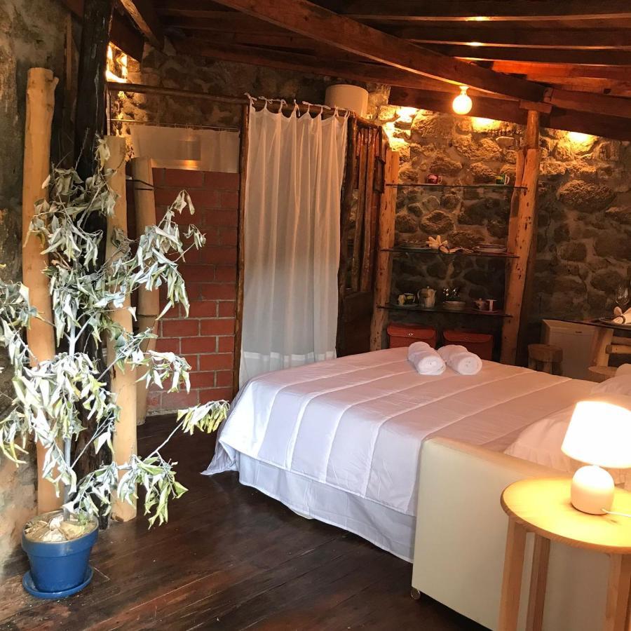 Villa Quinta Dos Carvalhos The Wine House Farm In Center Of Lamego - Capital Of The Douro Exterior foto