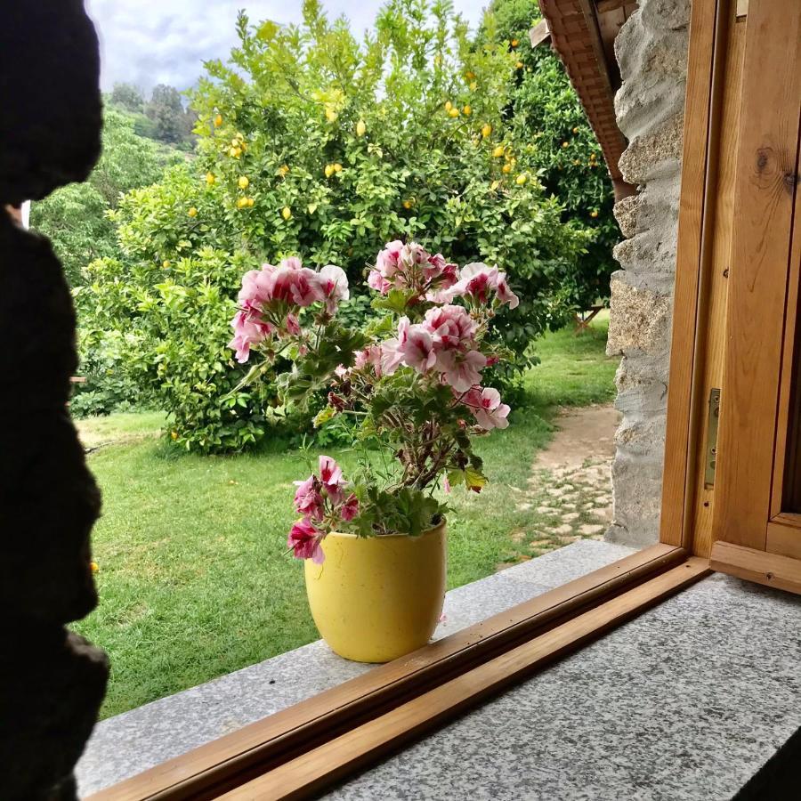 Villa Quinta Dos Carvalhos The Wine House Farm In Center Of Lamego - Capital Of The Douro Exterior foto