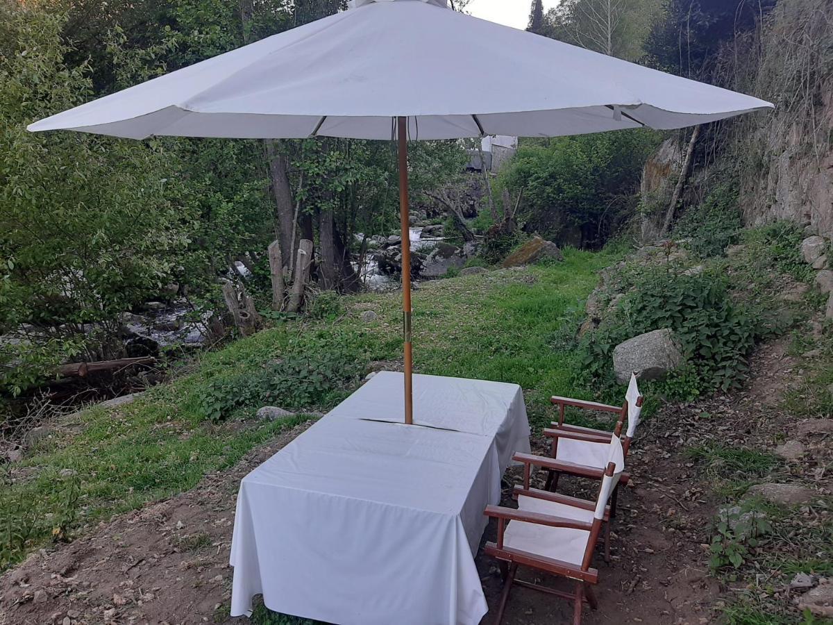Villa Quinta Dos Carvalhos The Wine House Farm In Center Of Lamego - Capital Of The Douro Exterior foto