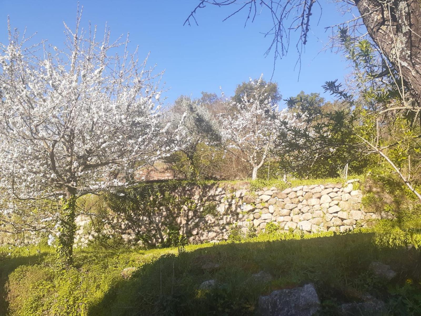 Villa Quinta Dos Carvalhos The Wine House Farm In Center Of Lamego - Capital Of The Douro Exterior foto